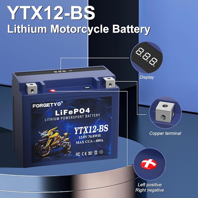 Lithium YTX12-BS, Forgetyo 12V 6AH 480A LiFePO4 Motorcycle Battery, ATV, UTV, Jet Ski, 4 Wheeler,Snowmobile,Tractor and Generator Battery