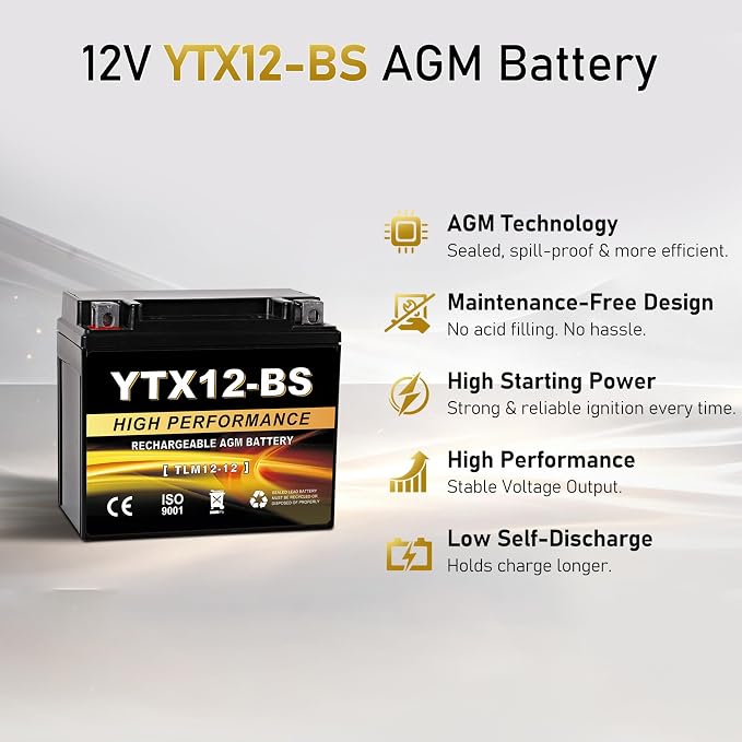 YTX12-BS 12V 10Ah AGM Sealed Motorcycle Battery, Maintenance-Free, Compatible with Honda Kawasaki Suzuki Yamaha Powersports