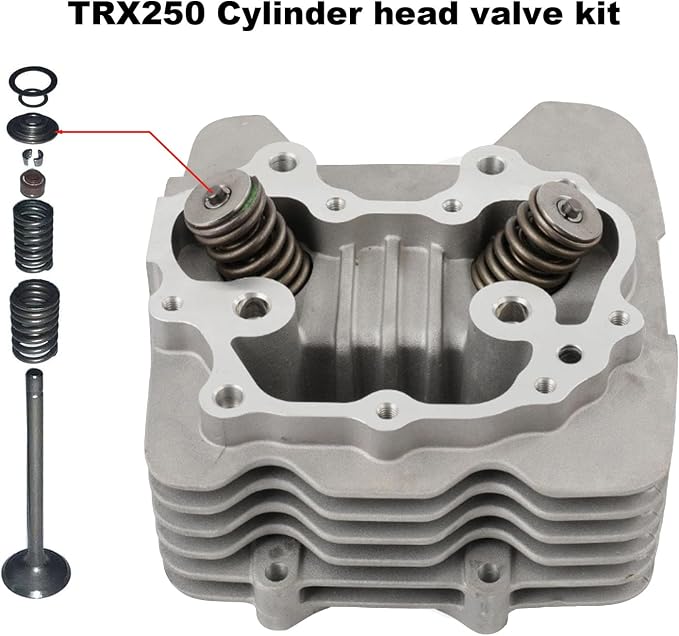 Cylinder Piston Gasket Top End Rebuild Kit Compatible with Honda TRX250TE Recon 250 ES 2002-2014 TRX250TM Recon 250 2002-2014 TRX250EX Sportrax 250 2003-2008 TRX250X 2009-2014