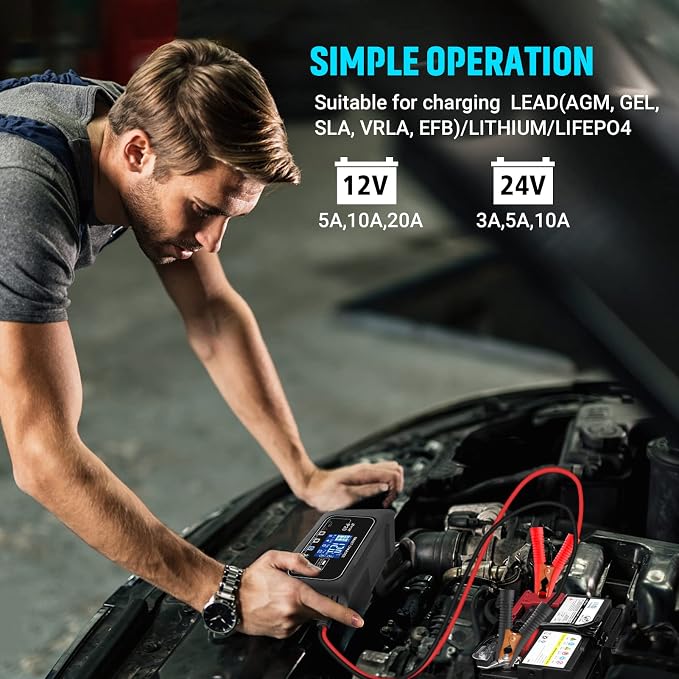 Smart Battery Charger 20A 12V/24V Fully Automatic Maintainer, Trickle Charger/Desulfator with Overcharge Protection & Temperature Compensation for LiFePO4 Lead Acid Lithium Batteries