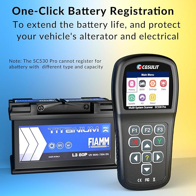 OBD2 Diagnostic Tool for BMW Motorcycles, SC530 Pro Full System Diagnosis Code Reader with Active Tests, Reset & Service Functions (ABS Bleed, ASC, RDC, Throttle, Injector, Transmission & More)