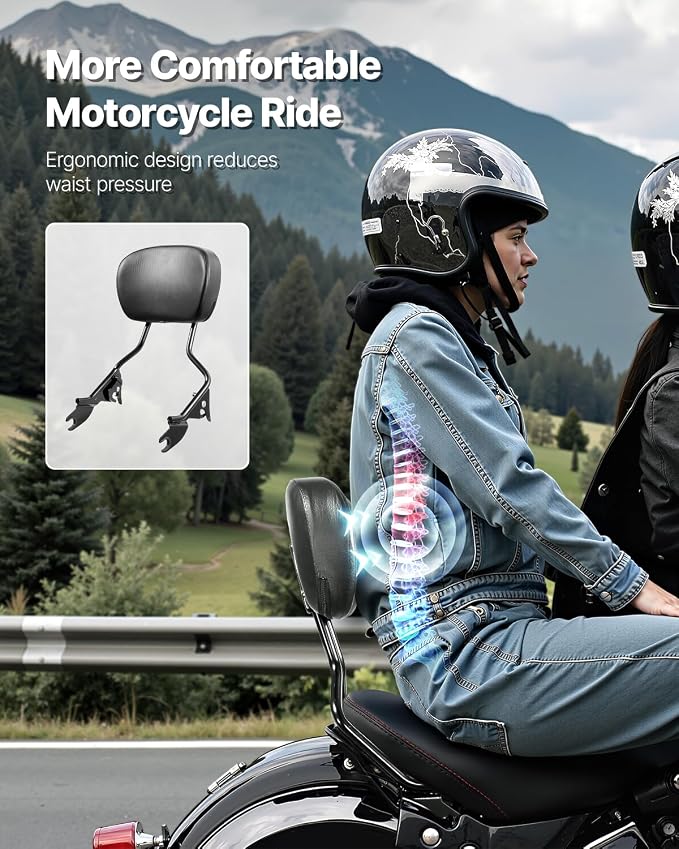 VEVOR Motorcycle Backrest Sissy Bar, Compatible With Harley-Davidson Touring Street Glide Road Glide Road King, 16 inch Height Detachable Passenger Backrest, For Motorcycles, Black