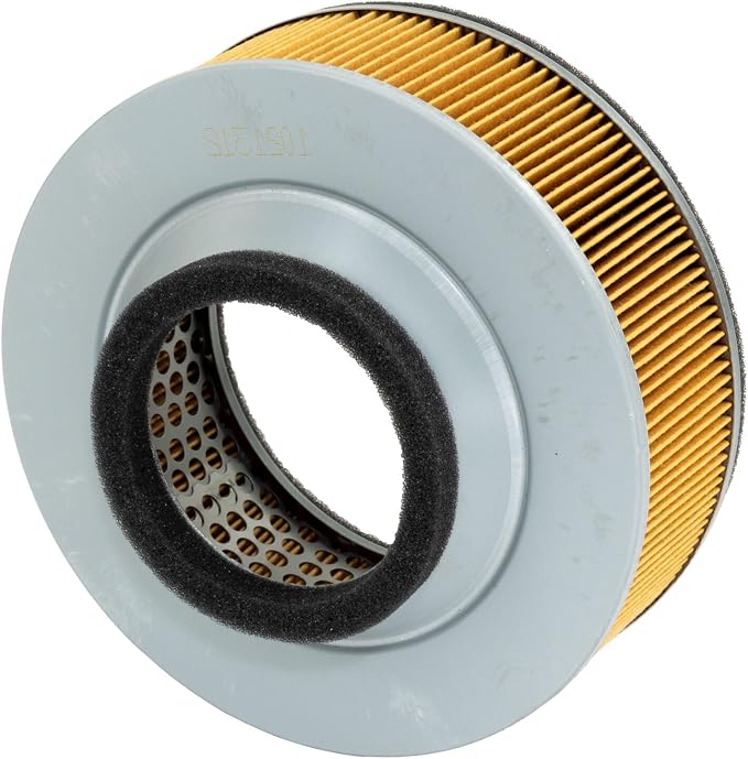 HiFloFiltro HFA2911 Premium OEM Replacement Air Filter, Single