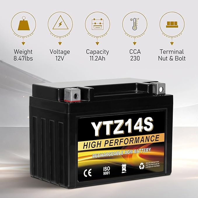YTZ14S 12V 11.2Ah AGM Sealed Motorcycle Battery, Maintenance-Free, Compatible with Honda, Yamaha, BMW Motorcycles & Scooters