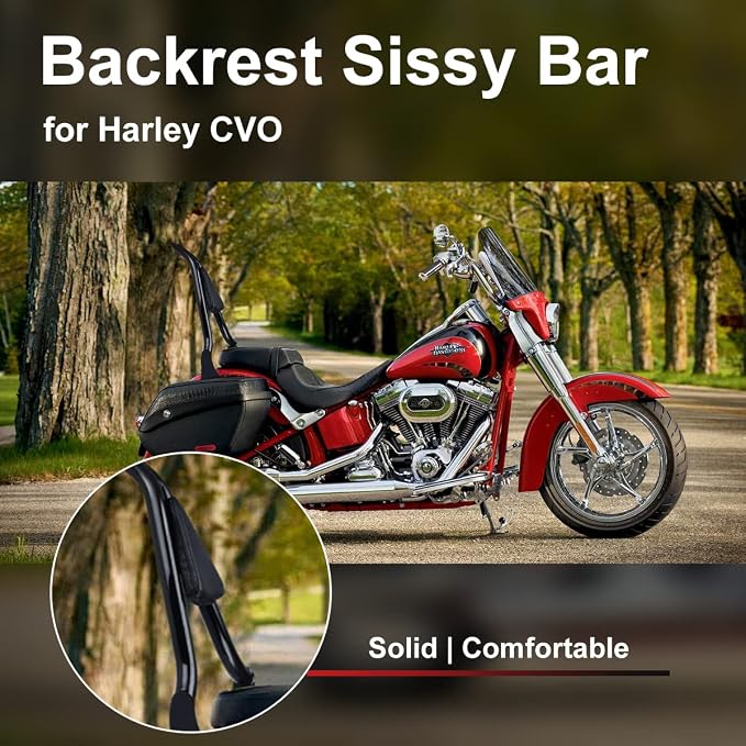 22 inch Detachable Passenger Sissy Bar Fit for Harley Touring Models 2009-2024 CVO Road Glide Street Glide Road King, One-Piece Rear Backrest with Back Cushion Black