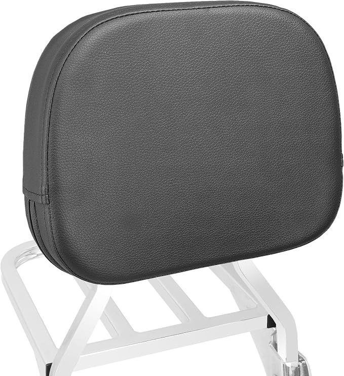 Detachable Passenger Backrest Sissy Bar with Luggage Rack and Docking Hardware Kits Fit For Harley Davidson Sportster XL 883 1200 2004-2023 (Chrome)