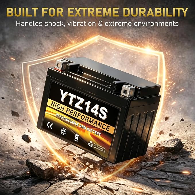 YTZ14S 12V 11.2Ah AGM Sealed Motorcycle Battery, Maintenance-Free, Compatible with Honda, Yamaha, BMW Motorcycles & Scooters