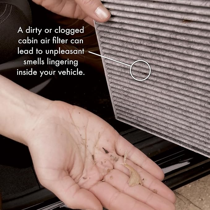 PureFlow Cabin Air Filter PC5532X | Fits 2006-2009 BMW 750Li, 750i, 2002-2005 745Li, 745i, 2004-2017 Rolls-Royce Phantom, 2003-2008 BMW 760Li, 2007-2008 Alpina B7, 2004-2006 760i