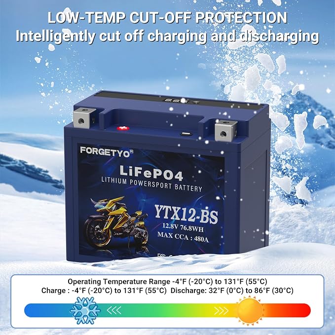 Lithium YTX12-BS, Forgetyo 12V 6AH 480A LiFePO4 Motorcycle Battery, ATV, UTV, Jet Ski, 4 Wheeler,Snowmobile,Tractor and Generator Battery