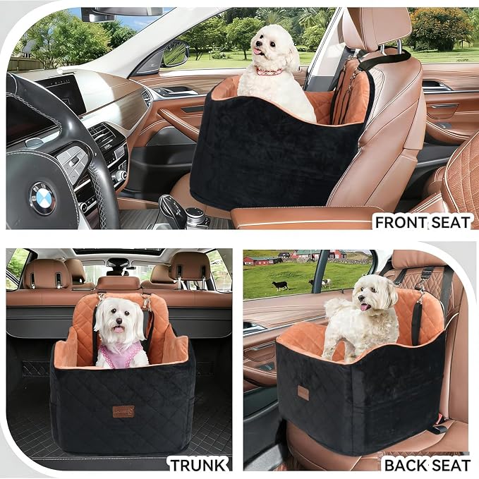 Juniverse Dog Booster Car Seat for Small to Medium Dogs Up to 30 lbs, Memory Foam, Washable Velvet Fabric Cover, Safety Leash, Storage Pockets, 19x19x19 Inches (Black/Tan)