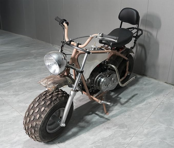 JMCHstore Backrest Cargo Rack for Coleman CT200UEX Mini bike 196cc, Adjustable Sissy Bar for Axis M200 Viper Hisun 200-3 200cc Trail bike Cushion Luggage parts