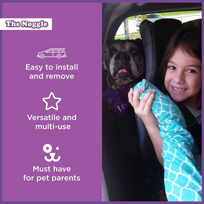 The Pet Noggle - Extend Hot and Cold Air From Your Dash AC Vent to Pets in the Back Seat - Summer and Winter Vehicle Traveling System to Keep Dogs and Cats Comfortable in the Car - 10ft, Black Ice