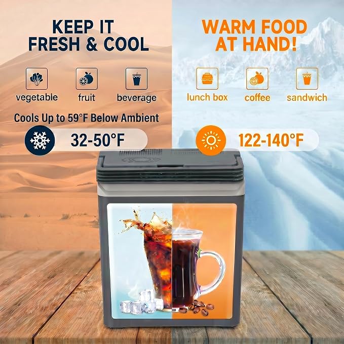 SubSun Electric Cooler & Warmer with Handle 32 Quart (30L), Portable Thermoelectric Fridge, 12V Car Refrigerator, 12V/24V DC 110～240 V AC for Outdoor Camping Travel Home Use, Grey