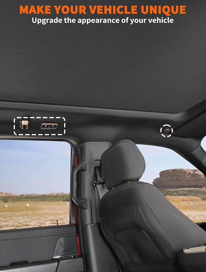 Savadicar 5-Piece Overhead Interior Trim Set for 2021-Present Ford F150, Wood Grain Finish Roof Overlay Accent, Interior Decorative Accessories