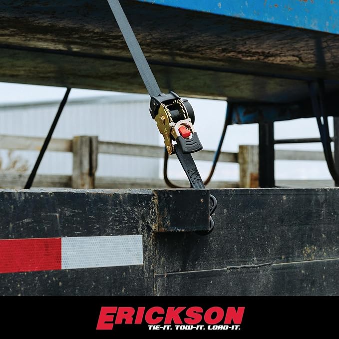 Erickson Pro Series 1in x 6ft Black Retractable Ratcheting Tie-Down Straps, 1500 lb Load Capacity, Pack of 2