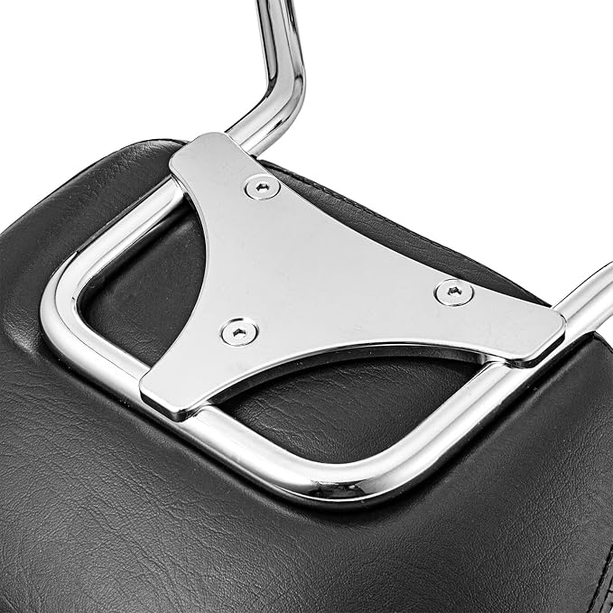 Dasen Detachable Sissy Bar Compatible with Harley Touring, Passenger Backrest Quick-Release Fit Touring Road Glide Street Glide Electra Glide Road King 2009-2025 Chrome