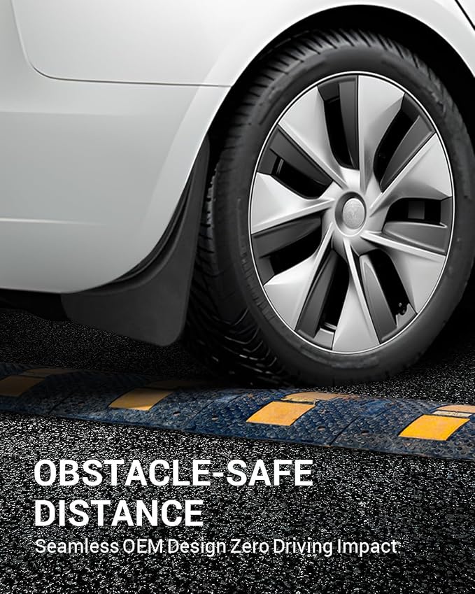 Motrobe Tesla Model 3 Garbage Bag and Tesla Model 3 Mud Flaps