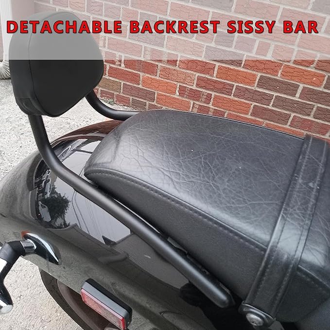 Detachable Backrest Sissy Bar Replacement for Honda Fury VT1300CX VT 1300 CX 2010-2025 Luggage Rack Passenger Backrest