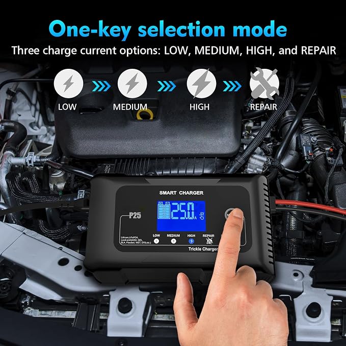Battery Charger 0-25A,12V&24V LiFePO4 Battery Charger for Lithium,Lead Acid,AGM,RV,Marine,Boat, and Deep Cycle Batteries,9 Stage with Pulse Repair,Smart Car Trickle Charger & Maintainer