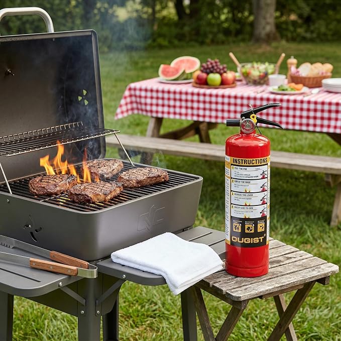 Ougist ABC Fire Extinguisher for Home, 2.5lb Small Fire Extinguisher for Kitchen & Garage, Vehicle Fire Extinguisher for Truck, Car and Boat, Professional Safety Grade, Red