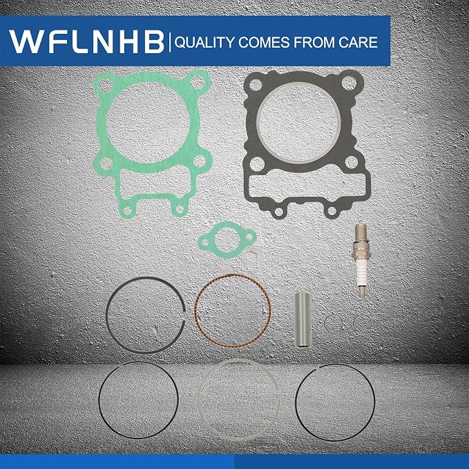 WFLNHB Cylinder Piston and Top End Kit Replacement for Kawasaki Bayou 250 KLF250A Replacement for 11061-1104 11005-1965 11004-1375 13001-1663 2003-2011