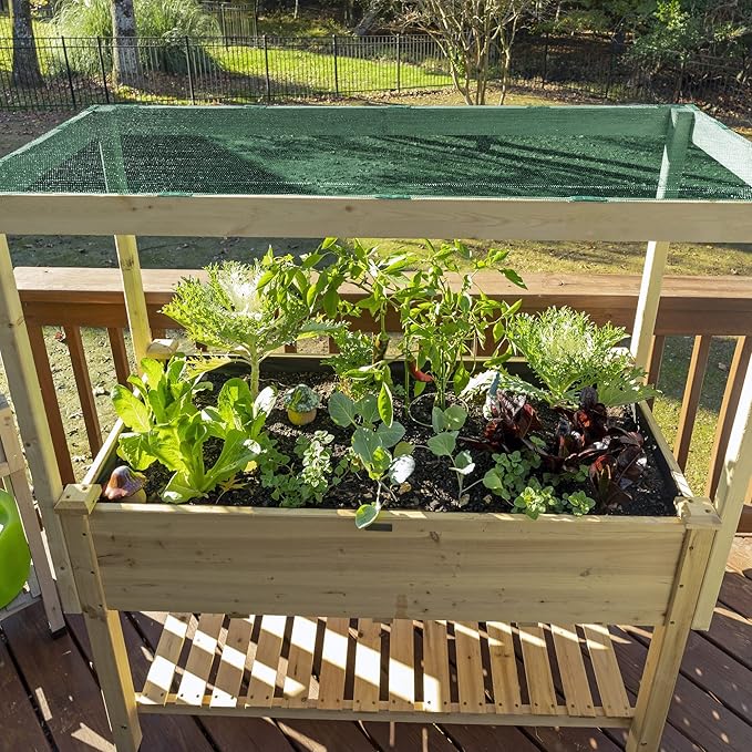 Coolaroo 50% UV Block Garden Shade Cloth for Plants - Tear-Resistant Breathable Shade Fabric for Greenhouses, Seedlings & Early Growth, 12ftx50ft Roll, Forest Green