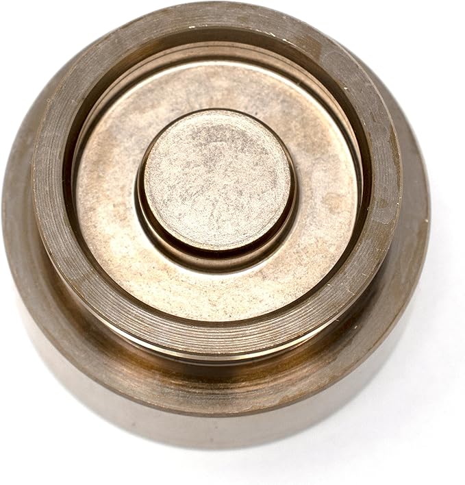 RW 0108-100 Clutch Slave Cylinder Piston Compatible with Kawasaki